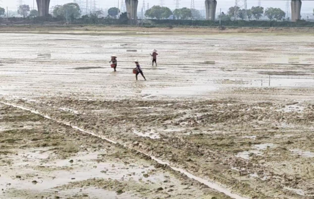 永安镇大朗村岐溪村