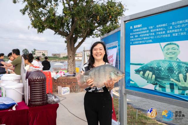 采购商热情地与罗非鱼合影。