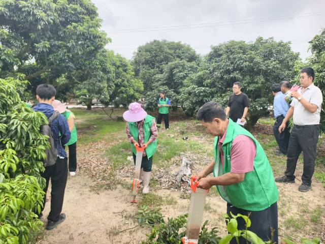 南方农村报 徐建杭 拍摄