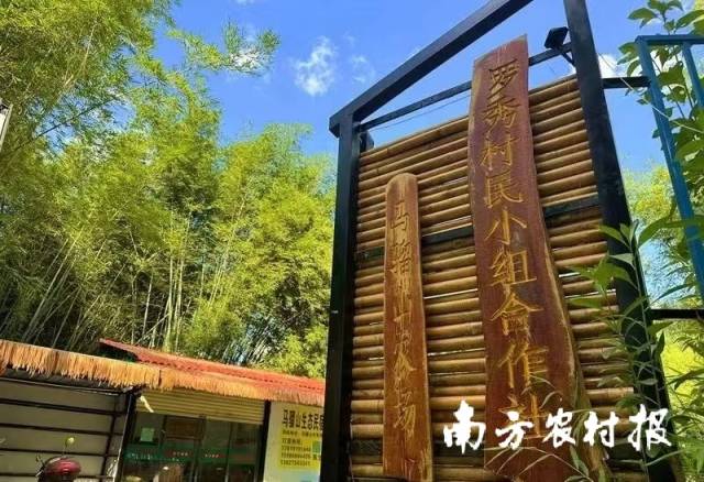 肇庆广宁县马骝山民宿