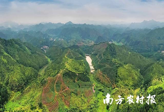 国家级林下经济示范基地（河源市和平县汇友中药材种植林下经济示范基地）