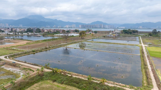 沙浦桃一村庆硕云农业种植基地