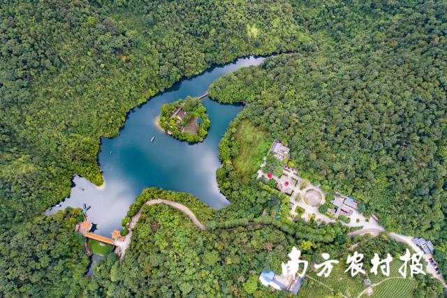 广东鼎湖山国家级自然保护区