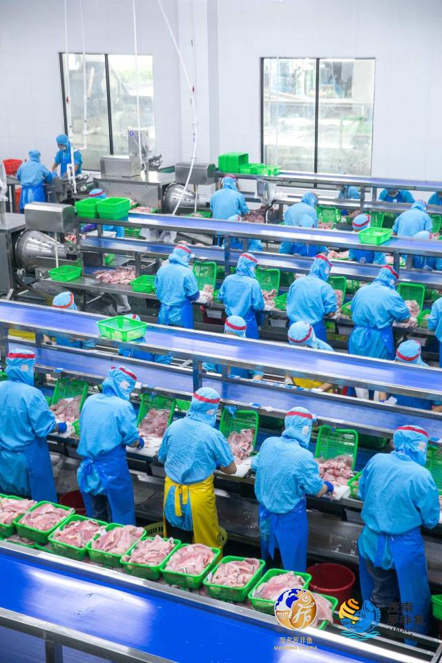 广东双洋食品科技有限公司加工车间。