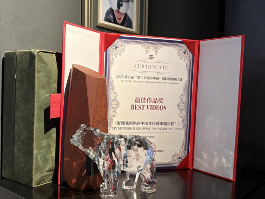 2025第七届“第三只眼看中国”国际短视频大赛最佳作品奖获奖证书。