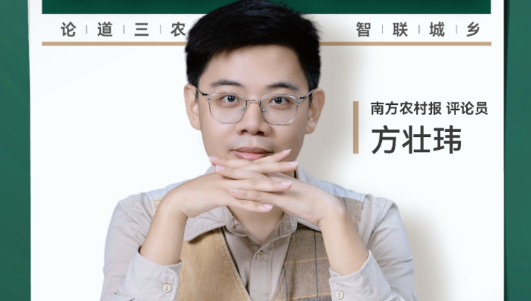 兴农评丨私挖水晶毁山林 生态底线不容践踏