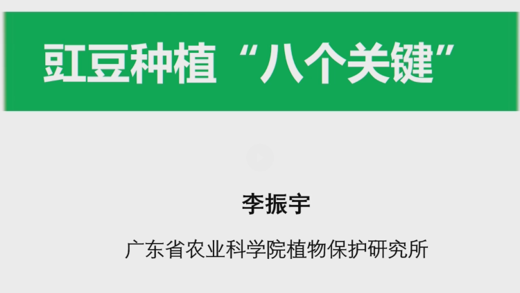 豇豆中种植 “几个关键”