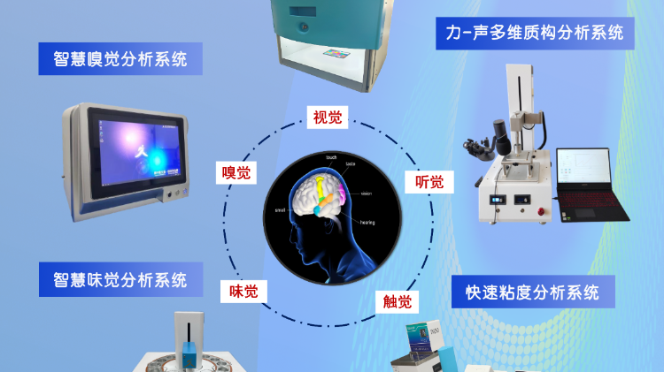 中国农业大学汤修映：让机器拥有“五感” ，解锁食品感官数智化
