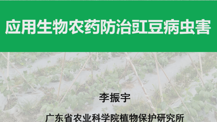 应用生物农药防治豇豆病虫害