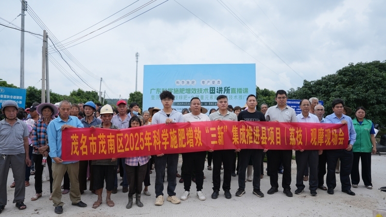 把地养好，来年才有好收成——茂南区这场“田讲所”干货满满