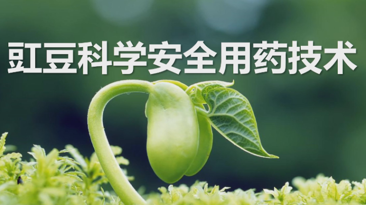 豇豆科学安全用药技术