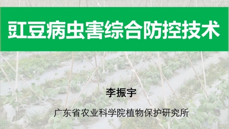 豇豆病虫害综合防控技术