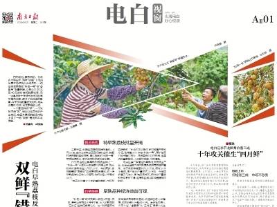 双鲜“错峰”抢市｜速览《南方日报·电白视窗》第188期