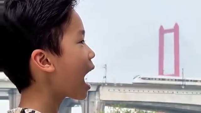 视频｜来顺德“吃”轻轨！可能比重庆还好吃