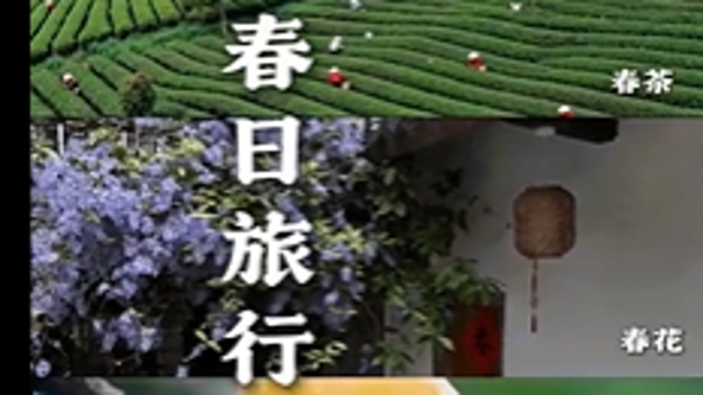 布谷鸟的春日旅行