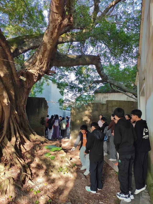 图书馆的窗通往一个自然的课堂，孩子们在这里认真地读一棵树。（受访者供图）