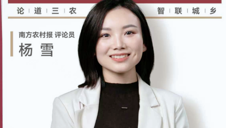 兴农评 | 隐私安全守不住，民宿就没有未来