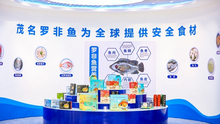 南农晨读丨茂南罗非 鲜行天下