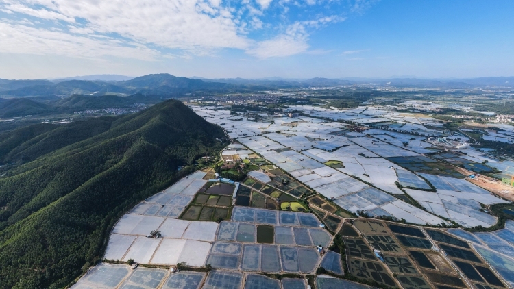 高桂大虾“游”进巴塞罗那，香飘西班牙全球水产展丨广货行天下