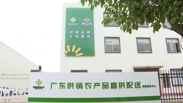 广东供销农产品直供配送阳西服务中心