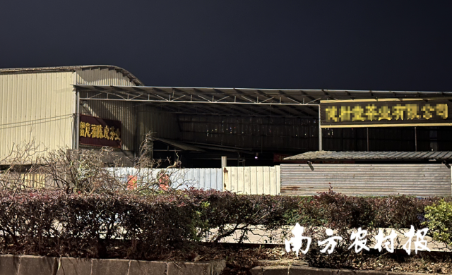 4月22日晚，南方农村报记者回访江门市新会区留意福陈皮茶业有限公司。