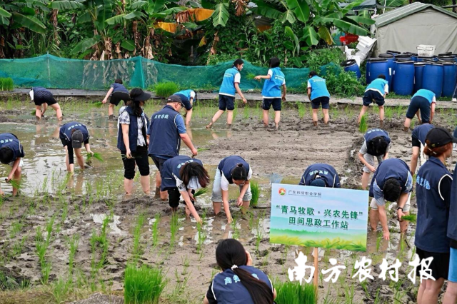 广东科贸职业学院商贸学院走进广州市红星都市农业示范园开展一节“从田间到餐桌的价值链”主题的思政课。