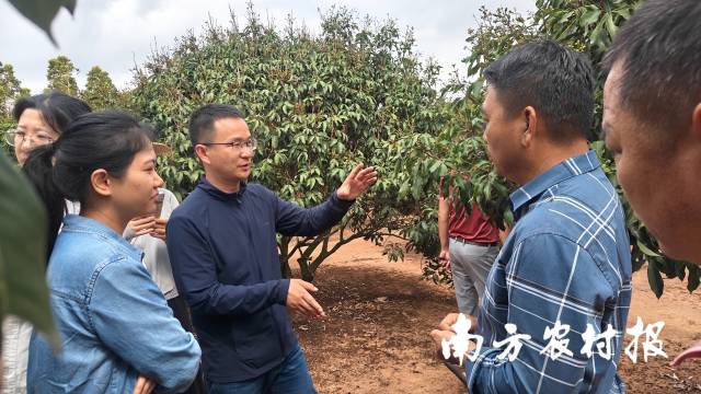 田间指导用药中