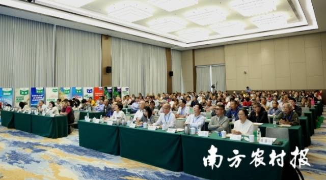 荔枝安全用药培训会茂名场