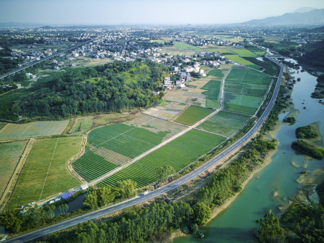 “岭南蔬菜之乡”产业示范带。