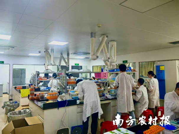 受访者供图