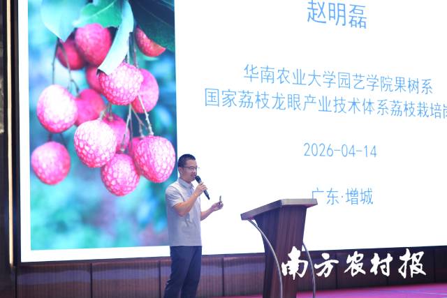 华南农业大学园艺学院副研究员赵明磊