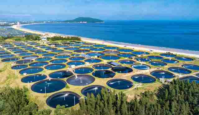 阳西县海水鱼苗生产基地