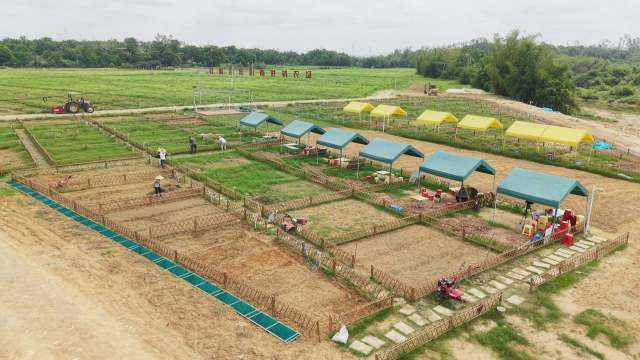 塘口镇周南村供销共享农场