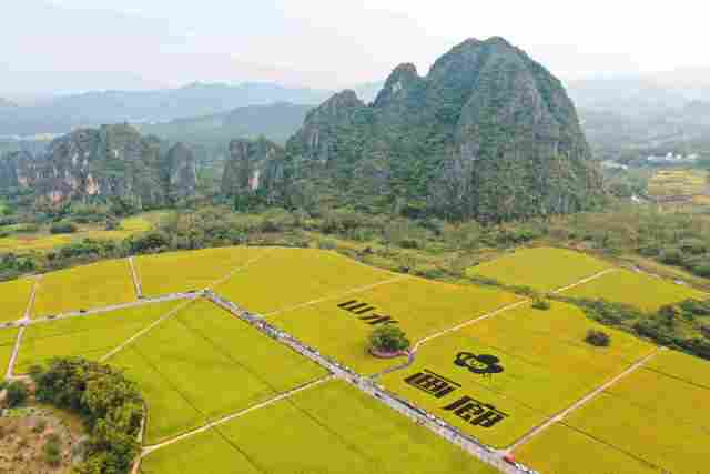 漠阳江山水画廊示范带精品段片区组团