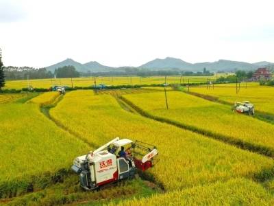 广东：一季度末涉农贷款余额2.7万亿元、比增8.8%，高于各项贷款增速