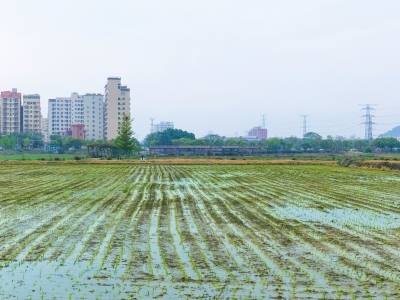 农业农村部：已有2600多万农户顺利签订第二轮土地延包合同