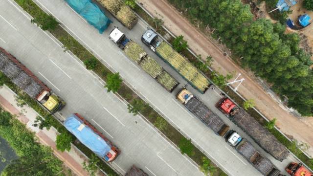 数百辆满载果蔗的货车涌进全网最暖糖厂：“来者不拒，为司机提供三餐”