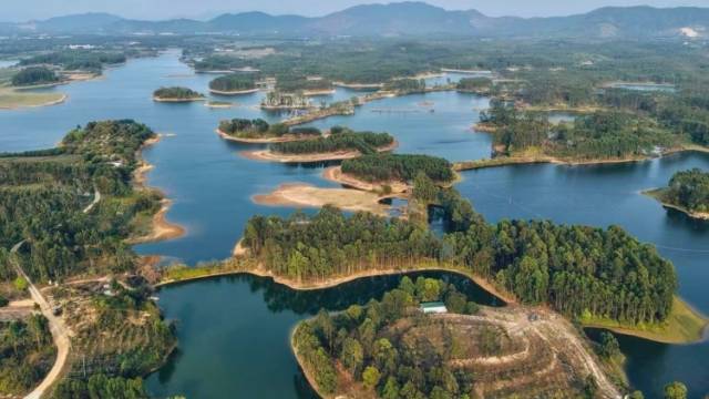 跨越海峡两岸的咖啡树｜南方深读