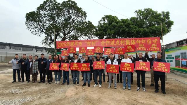 2025年恩平市“社村”合作试点村集体分红仪式