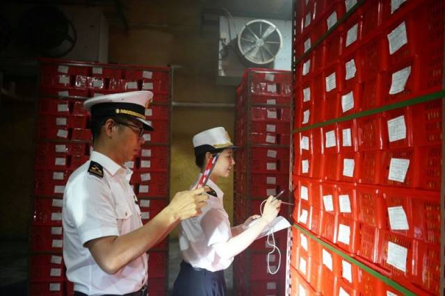 湛江海关所属廉江海关关员对出口荔枝开展查验