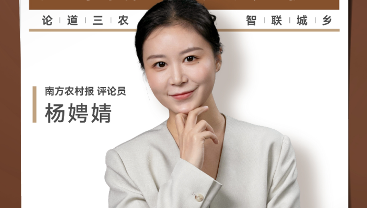 兴农评 | 泼天流量入乡村，如何接稳又长流