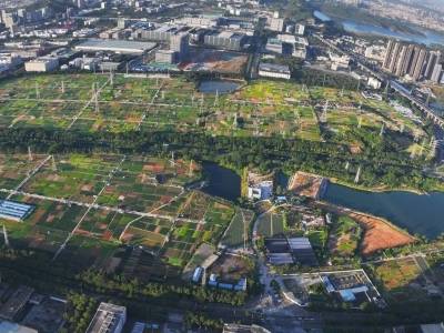 深圳首个全域土地整治获批，坪山单位GDP建设用地降20.79%
