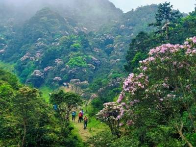 解锁“生态+”新路径！绿美广东系列宣传活动在阳春启动