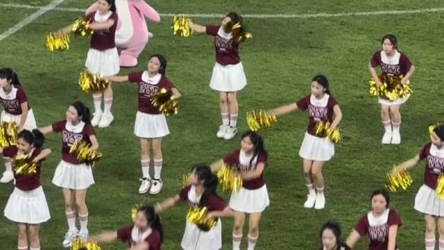 “别管我是豚还是鸡！”，“大湾鸡”中场表演再度点燃全场