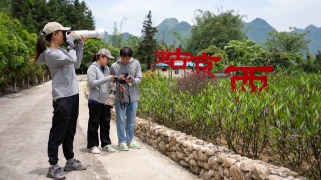 全国超四分之一鸟类都在这里！第五届南岭观鸟季活动开幕