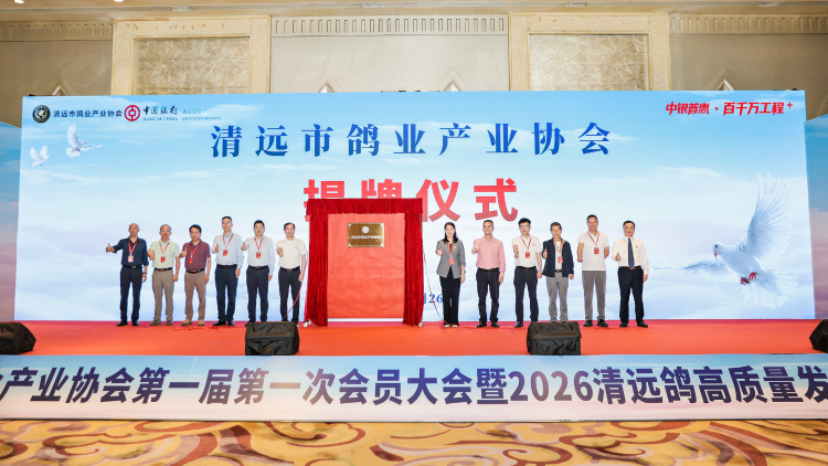 清远市鸽业产业协会成立，百亿授信赋能打造清远第六大百亿农业产业