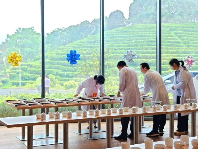 “兴宁市十大好春茶”评鉴活动。  