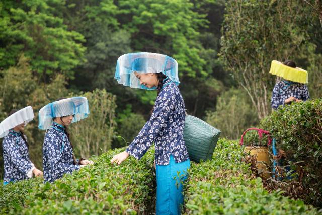 “五一”假期惠阳将推出近60场文旅体活动