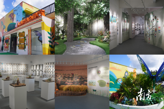 广东省首座乡村昆虫科普展馆展示图