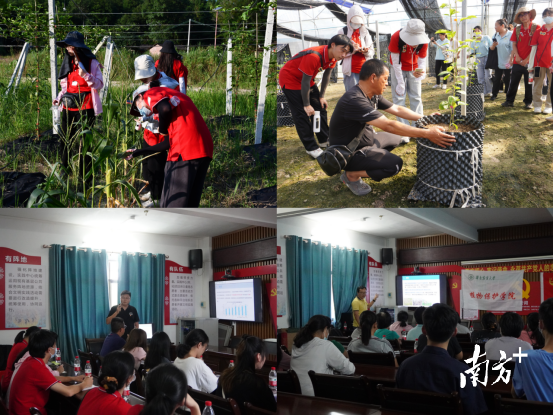 华南农业大学团队开展病虫害调查及防控和技术培训